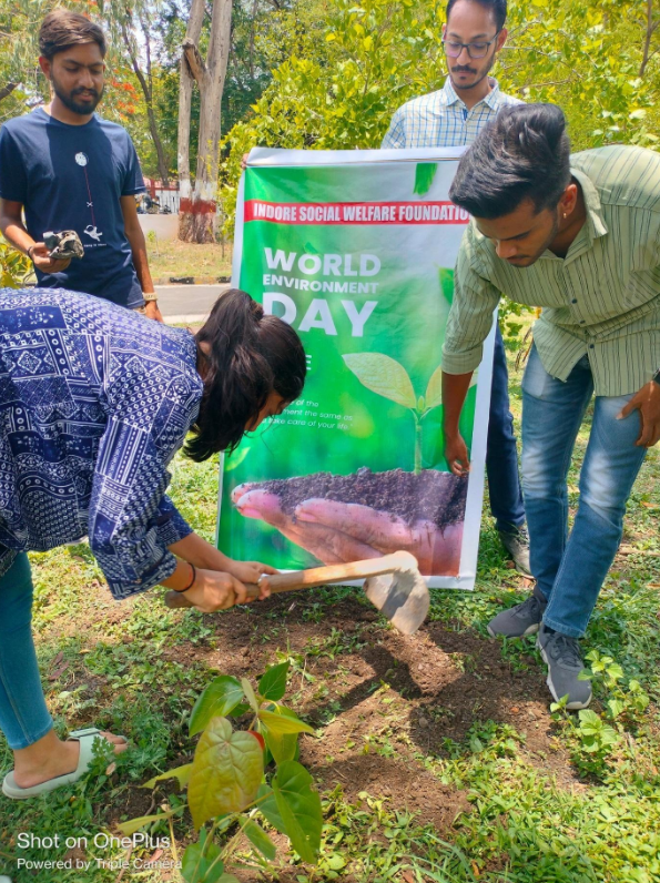 Tree plantation drive