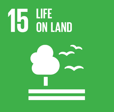 SDG 10