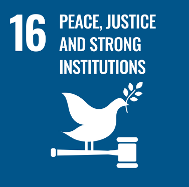 SDG 11