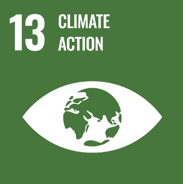 SDG 9